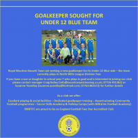 Under 12 Goalkeeper Required