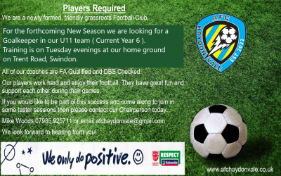 Under 11 Goalkeeper Required