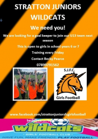 U13 Girls Goalkeeper Required