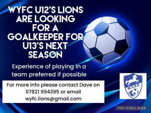Under 13s Goalkeeper Required